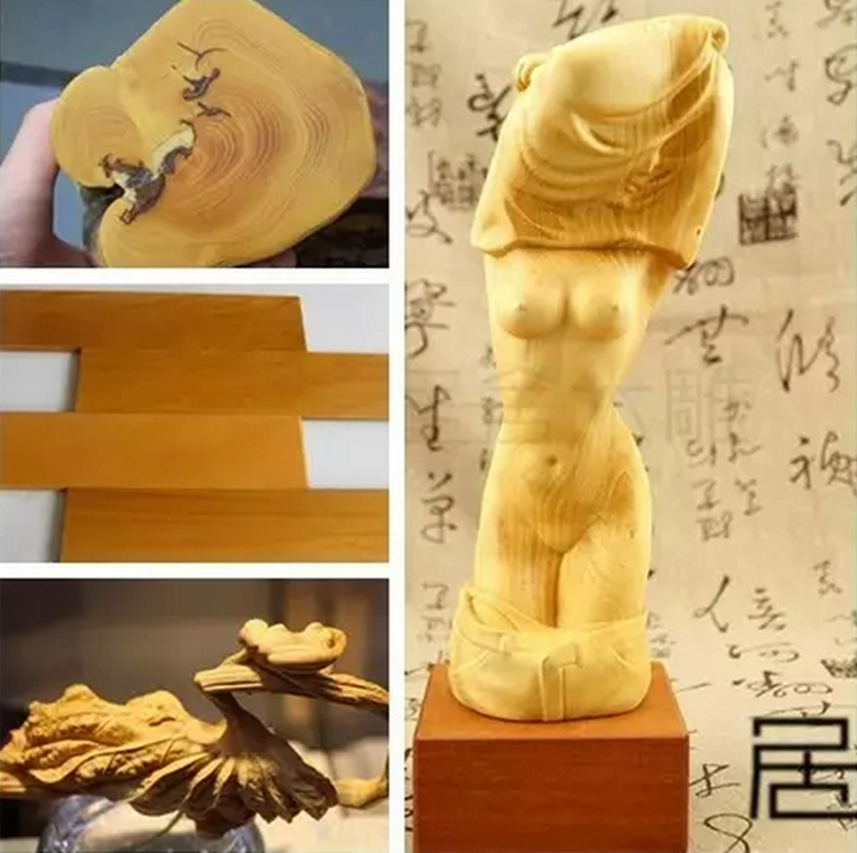 《中原艺术网》向您介绍根雕的用材