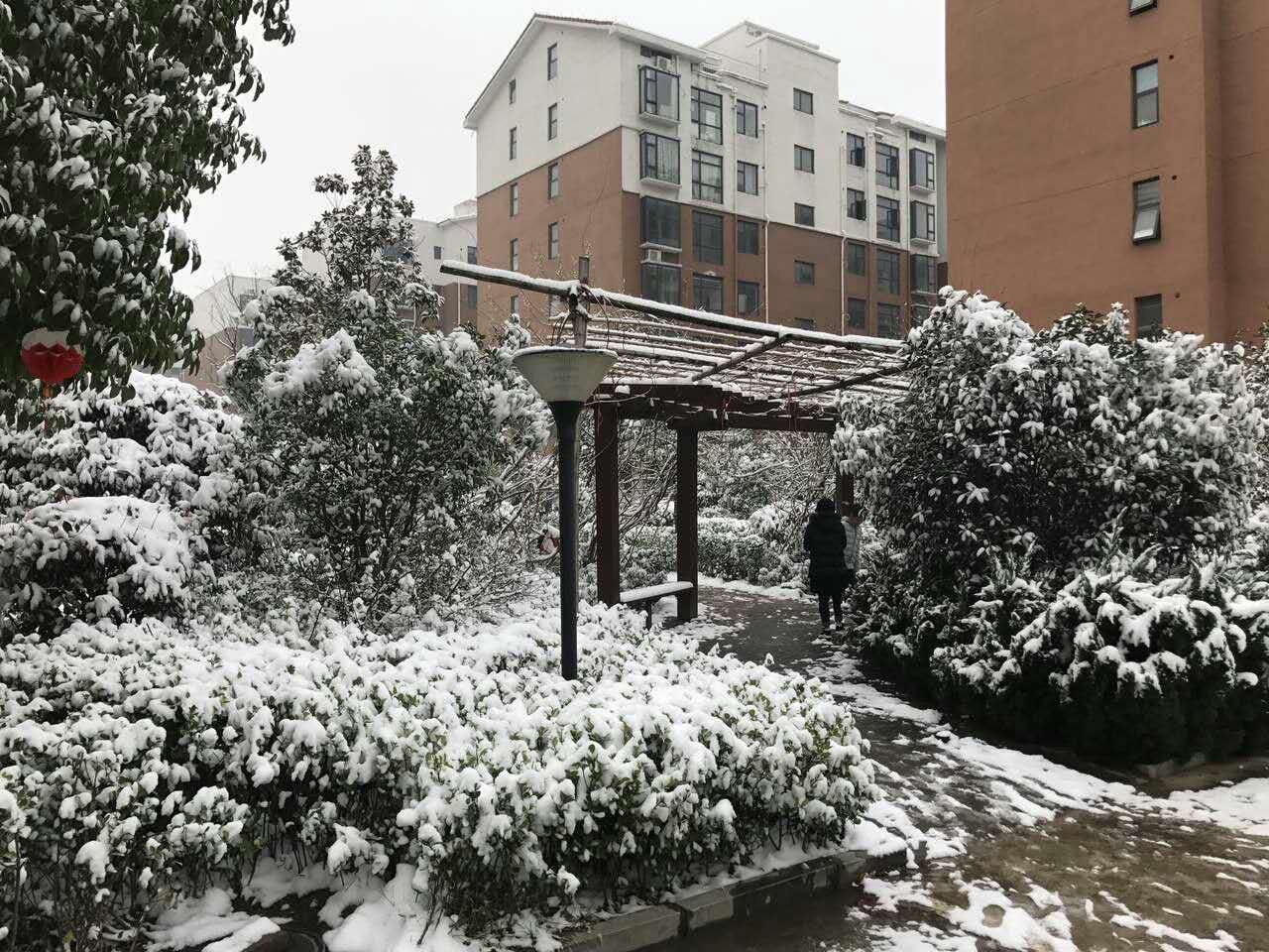 2018年的第一场雪