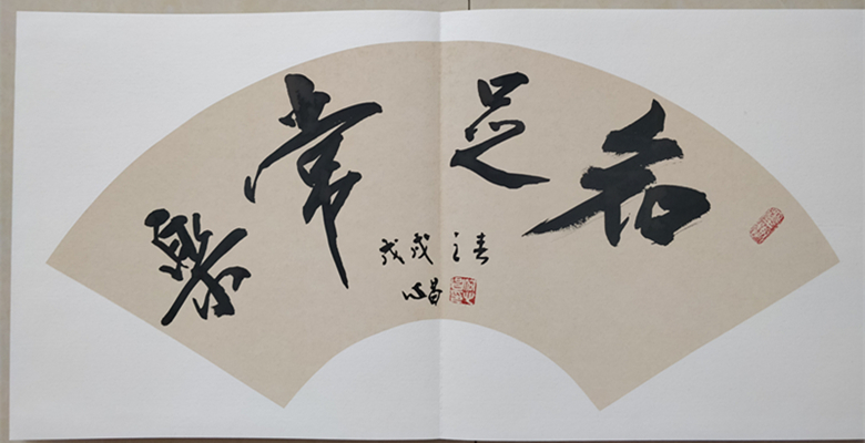 请欣赏郸城书法家创作的30本花样册页