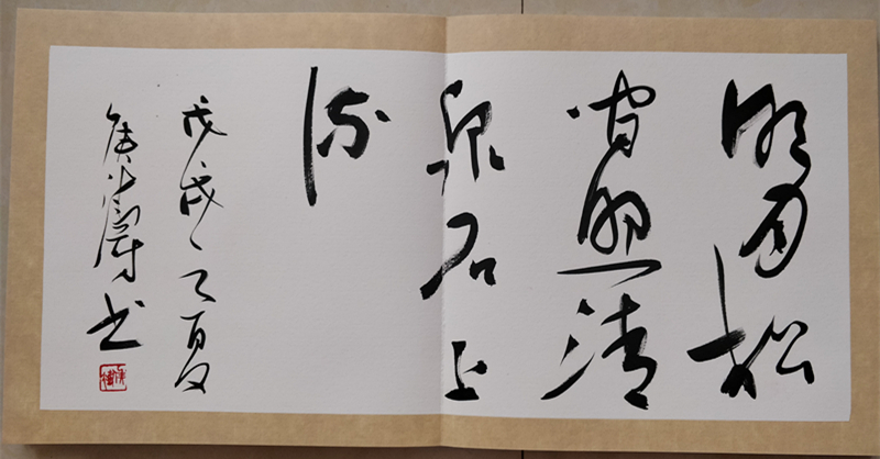 请欣赏郸城书法家创作的30本花样册页