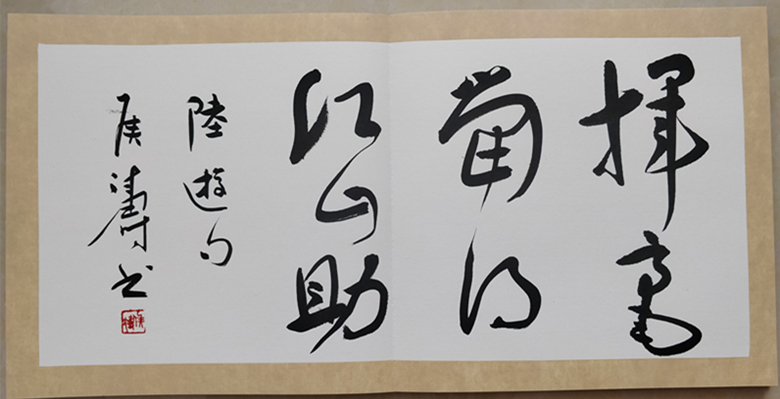 请欣赏郸城书法家创作的30本花样册页