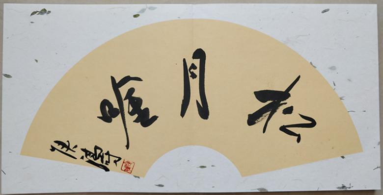 请欣赏郸城书法家创作的30本花样册页