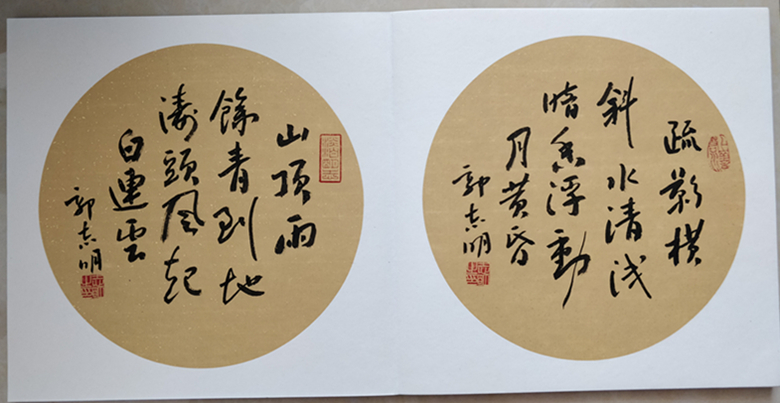 请欣赏郸城书法家创作的30本花样册页