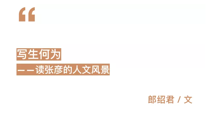 【名家推介】首届湖南·中国画双年展——张彦