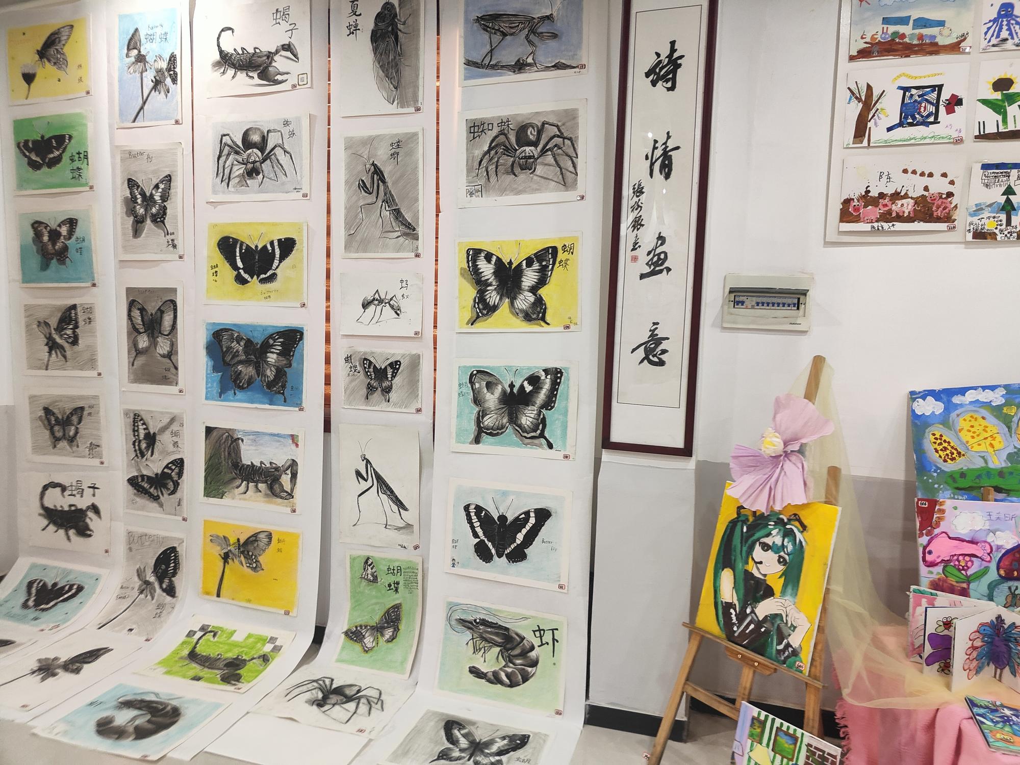 郸城县举办青少年美术作品展